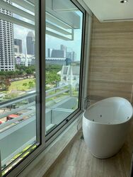 Eden Residences Capitol (D6), Apartment #481436951